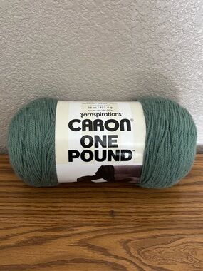 NEW 1 Skein of Caron One Pound Yarn - Hosta